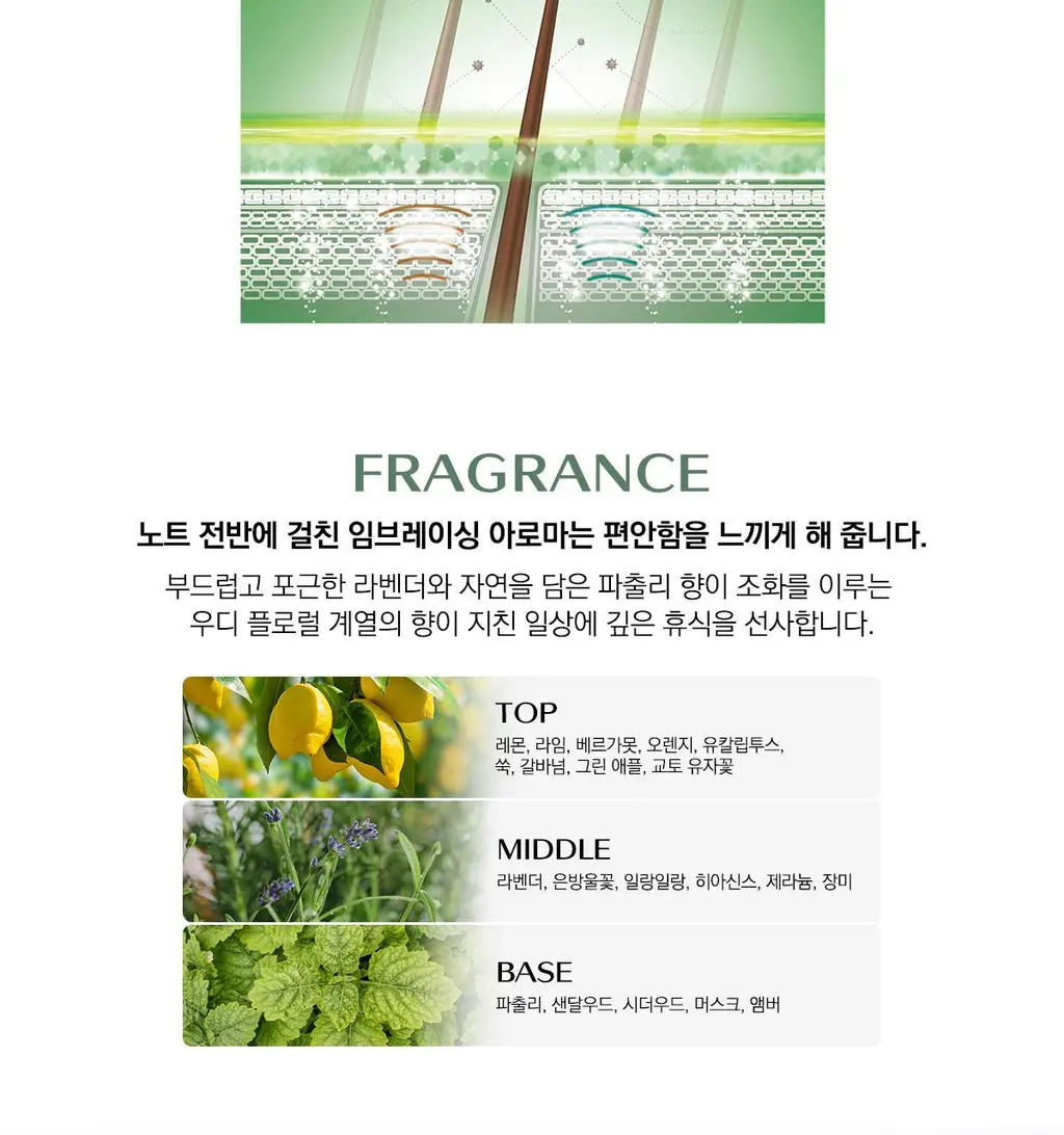 [두피케어] 시세이도 프로페셔널 서브리믹 휀테 포르테 두피 에센스 2종 택1 상세페이지 21